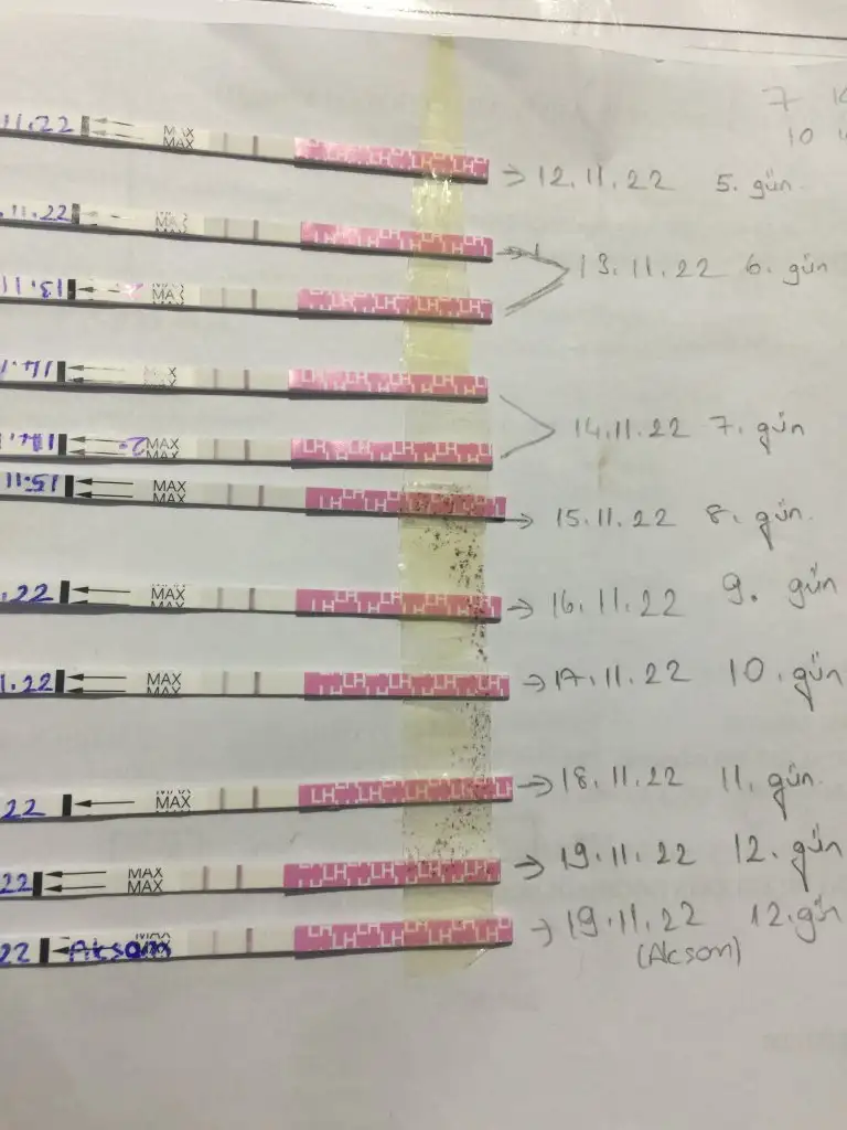 F0E9DA73-F0E8-425F-96AA-C1402FA6A91C.webp