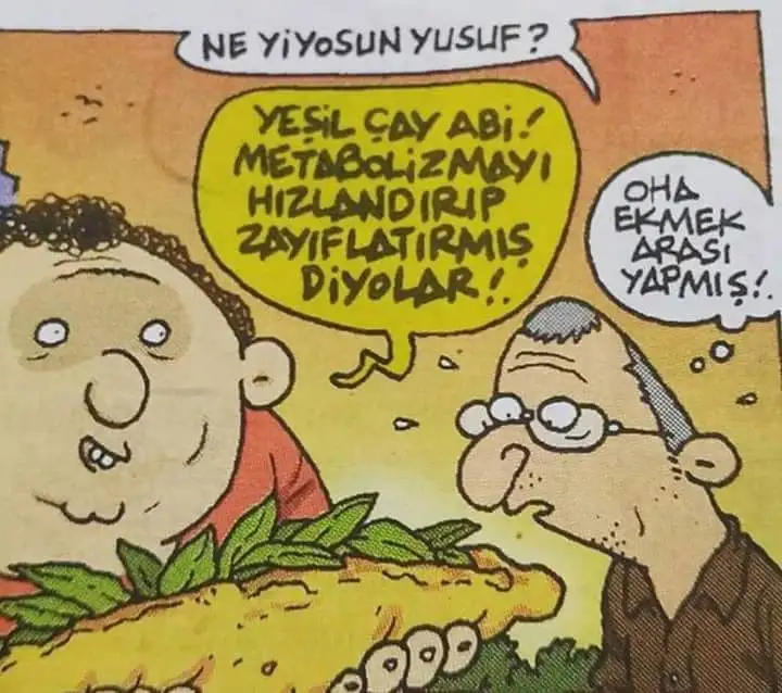 f2f8e381fce03f7b72cda15fce1ba852.webp