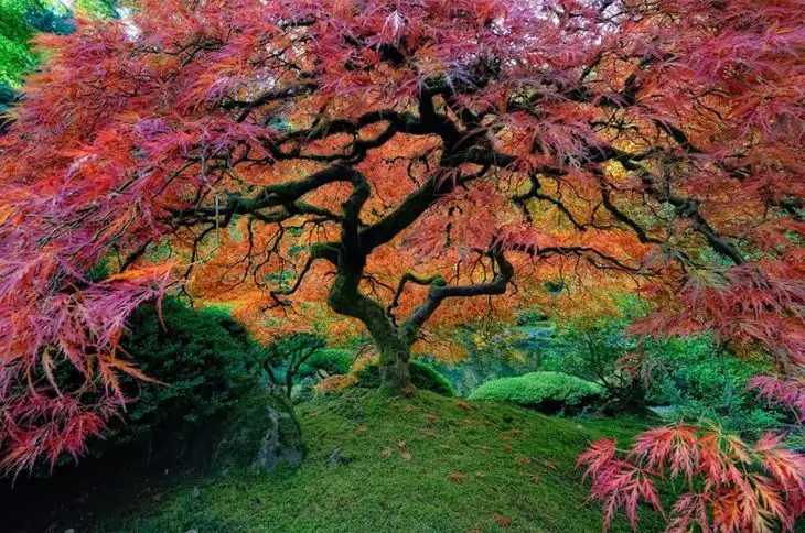 f329b5b5b8.webp