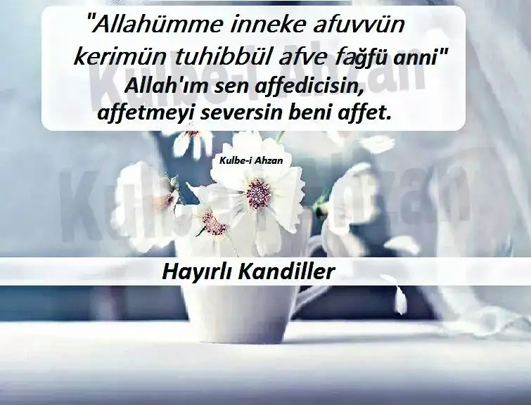 F43CBECE-ADDB-4080-A09A-E5341F431031.webp