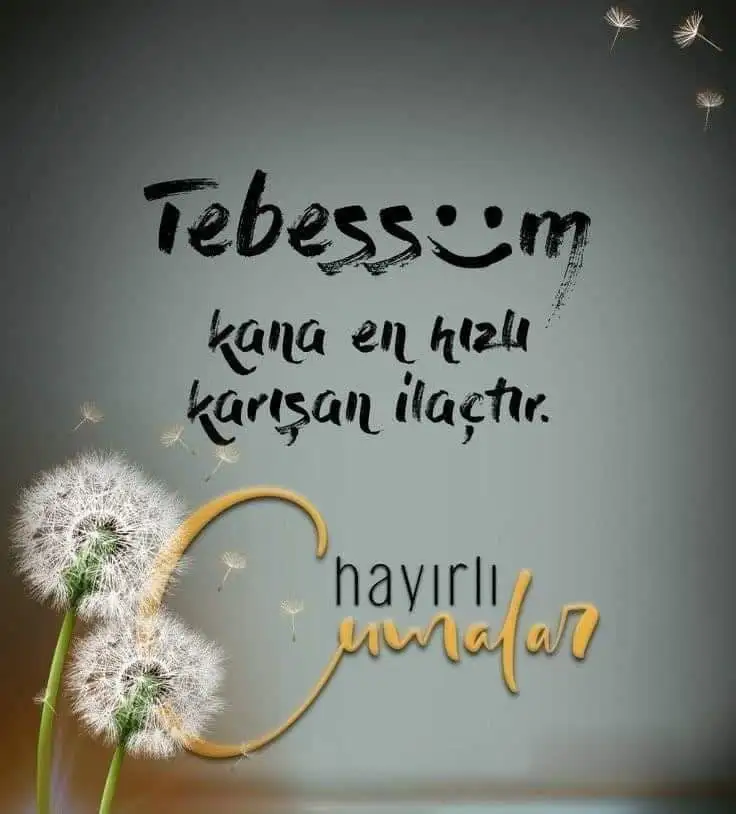 f555bb45349e2d0ccdcb71ef7c14c67d.webp