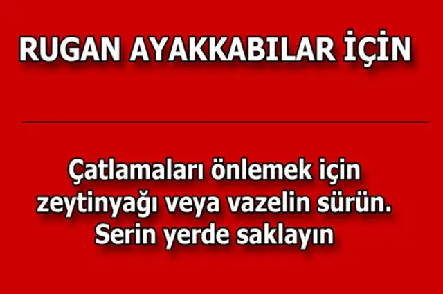 f70c2d87d02e884848de18163fb4a14e_k.webp