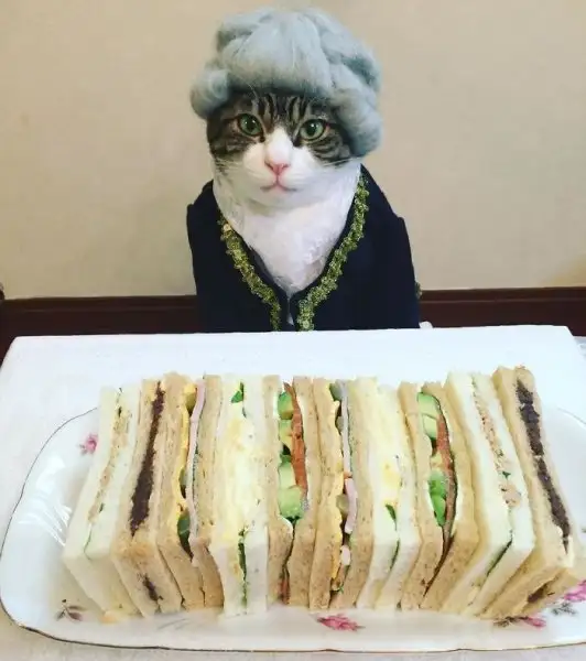 F7623F8E-7BC6-4E23-B9E4-B3A48726FEE8.webp