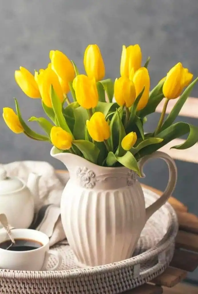 f830e913ff5e285103eeacf314bf8ecb.webp