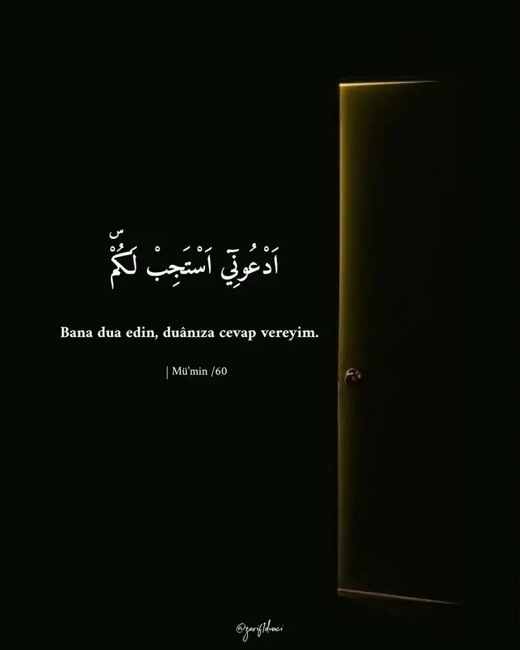 fa7a583391639725f86e650b1d2d59b2.webp