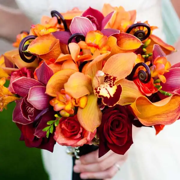 fall-wedding-halloween-wedding-cary-pennington-3.webp
