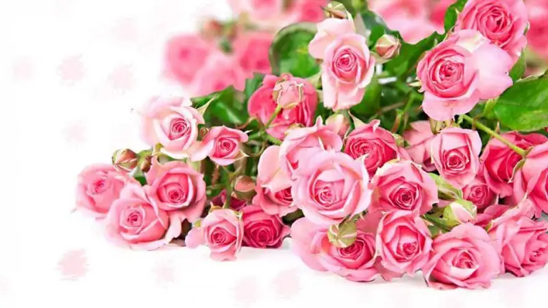 FB_IMG_1445012990289.webp