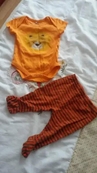 FB_IMG_1449673101356.webp