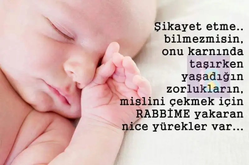 FB_IMG_1451690617056.webp