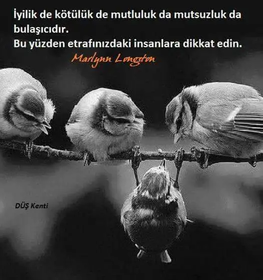 FB_IMG_1451943429735.webp