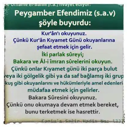 FB_IMG_1454132924411.webp