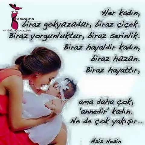 FB_IMG_1455031118367.webp