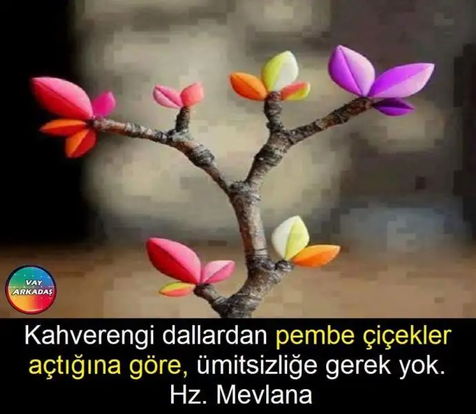 FB_IMG_1456863281294.webp