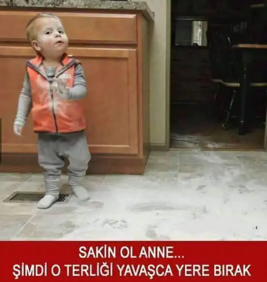 FB_IMG_1457590078870.webp