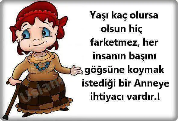 FB_IMG_1462677885349.webp