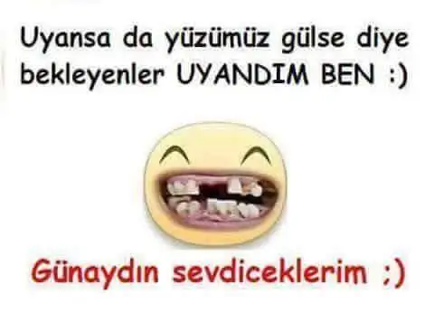 FB_IMG_1463543605223.webp