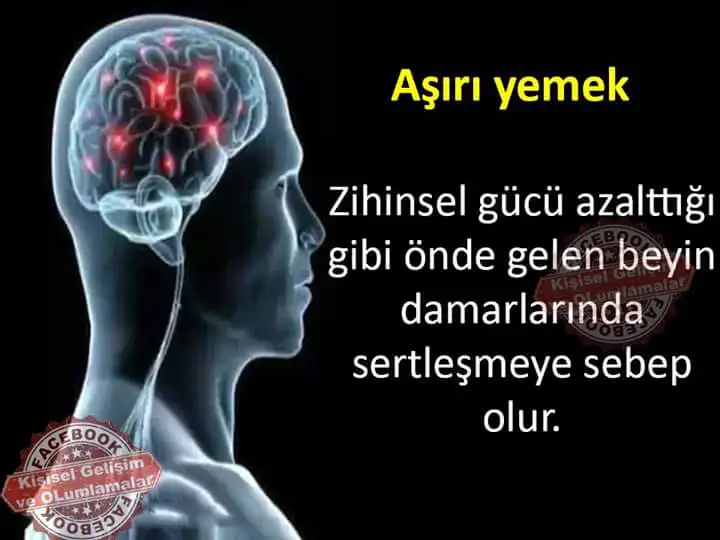 FB_IMG_1474292011163.webp