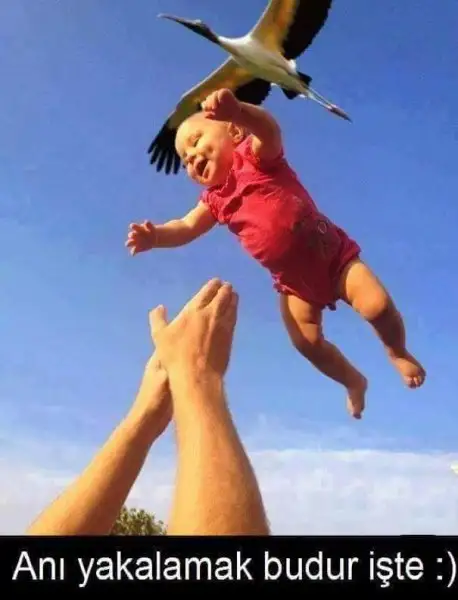 FB_IMG_1478978649213.webp