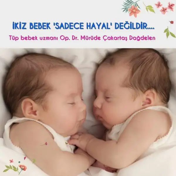 FB_IMG_1482054445374.webp
