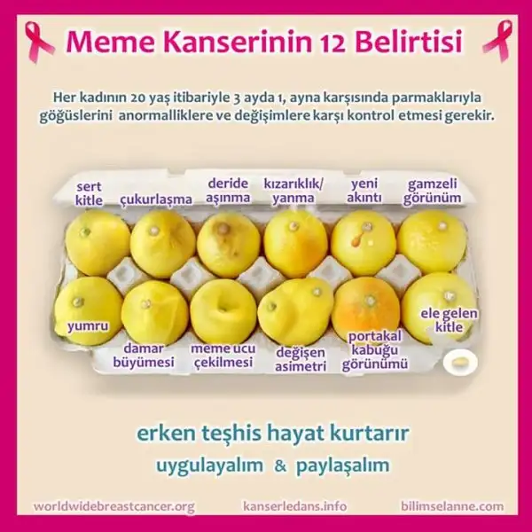 FB_IMG_1486018466643.webp