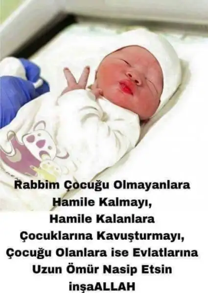 FB_IMG_1488223271663.webp