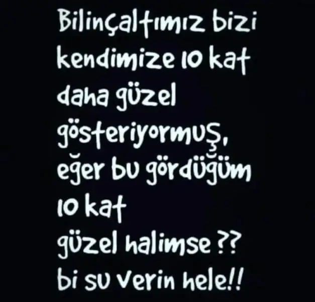 FB_IMG_1521229145870.webp
