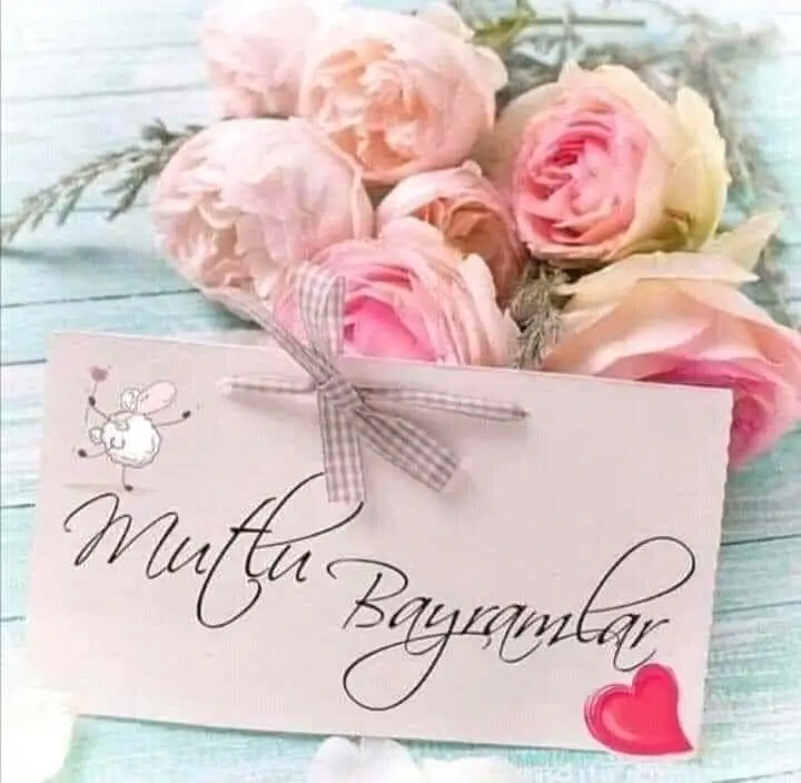 FB_IMG_16208937852273384.webp