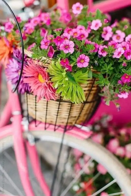FB_IMG_1639728169241.webp
