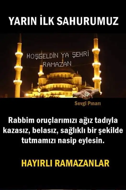 FB_IMG_1648747389632.webp
