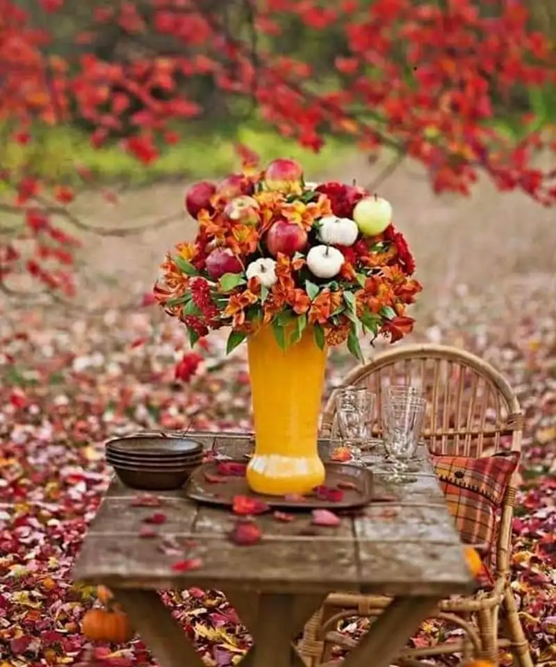 FB_IMG_1663756152820.webp