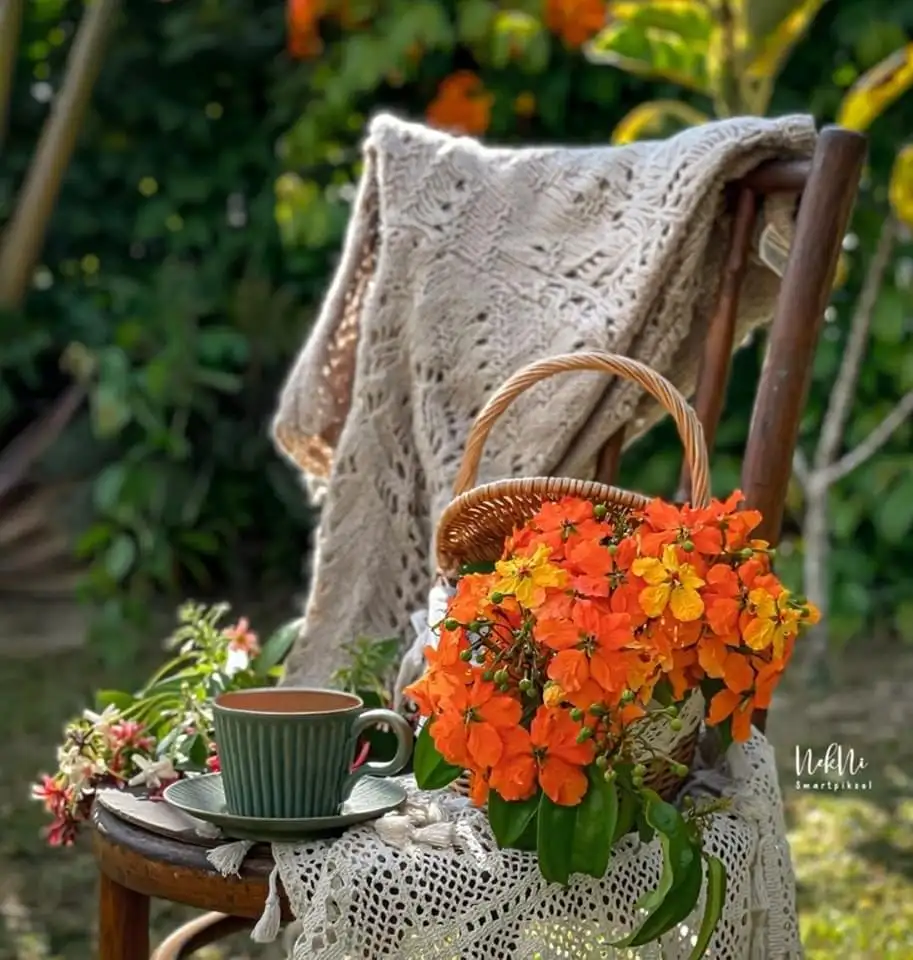 FB_IMG_1665553052291.webp