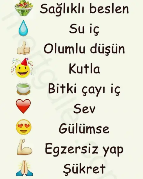 fd6434201fb4fca35d72667881cee0f1.webp