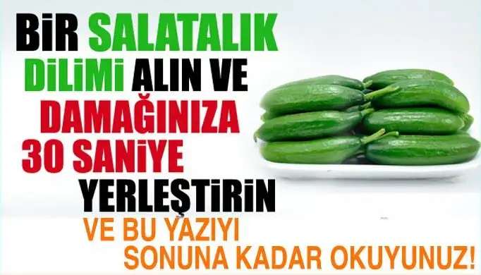 fds.webp