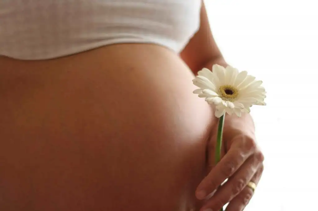 femme_enceinte_grossesse.webp