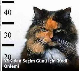 fghjkl.webp