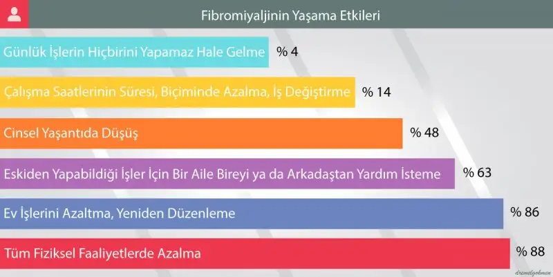 fibromiyaljinin-yasama-etkileri-tetikleyicileri-tanisi-infografik-dr-emel-gokmen.webp