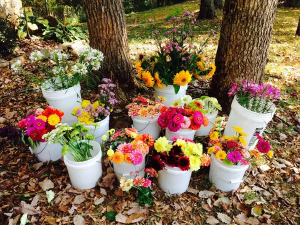 field-to-vase-whites-creek-flower-farm-14.webp