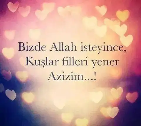 Fil.webp