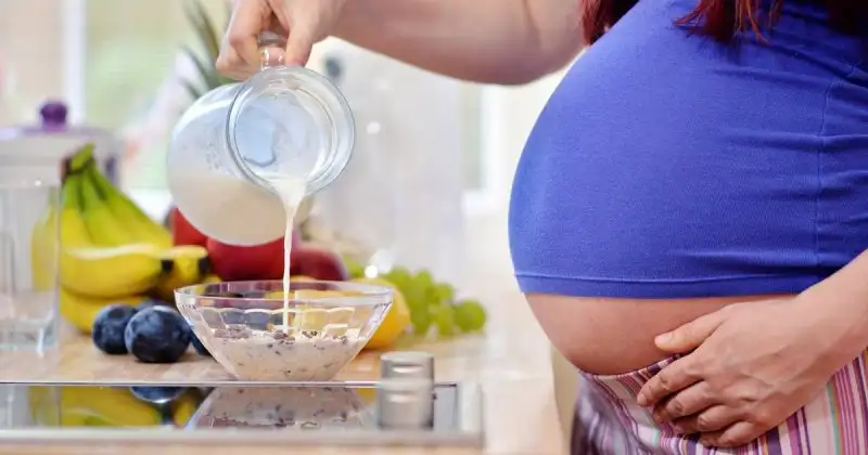 file_main_image_600_1_enceinte_manger_deux_02_600_1500X1000_cache_1200x630.webp