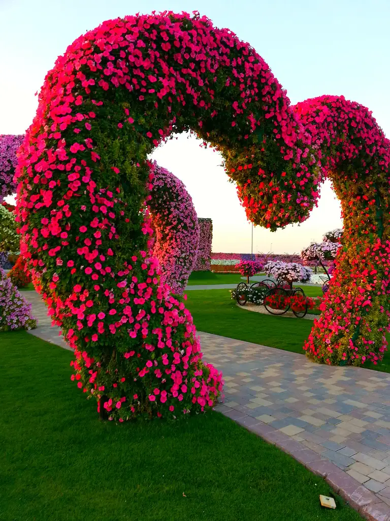 flower-garden-dubai-6.webp