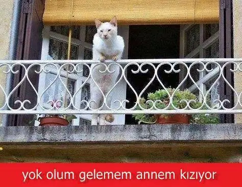 foto-gelemem-lan-annem-kiziyoo-okuyom-ben-ya.webp