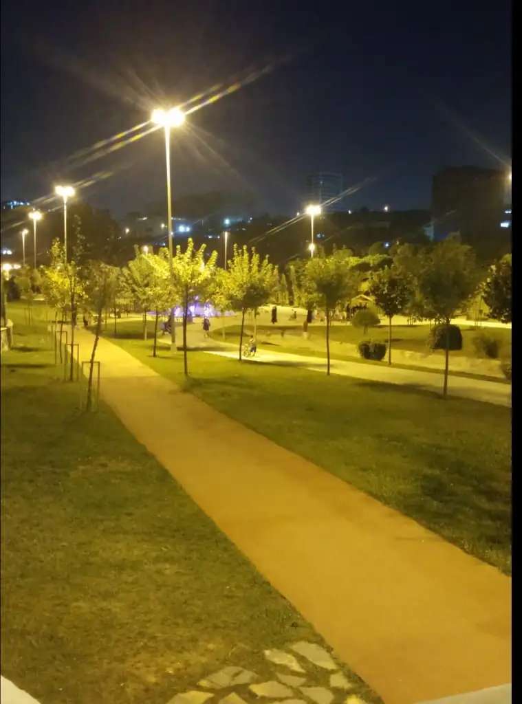 Fotoğraf Kolajlayıcı_IIe98D-1.webp
