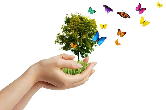 Fotolia_12301811_M.webp