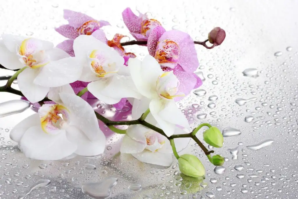 Fotolia_49348060_Subscription_Monthly_XXL.webp