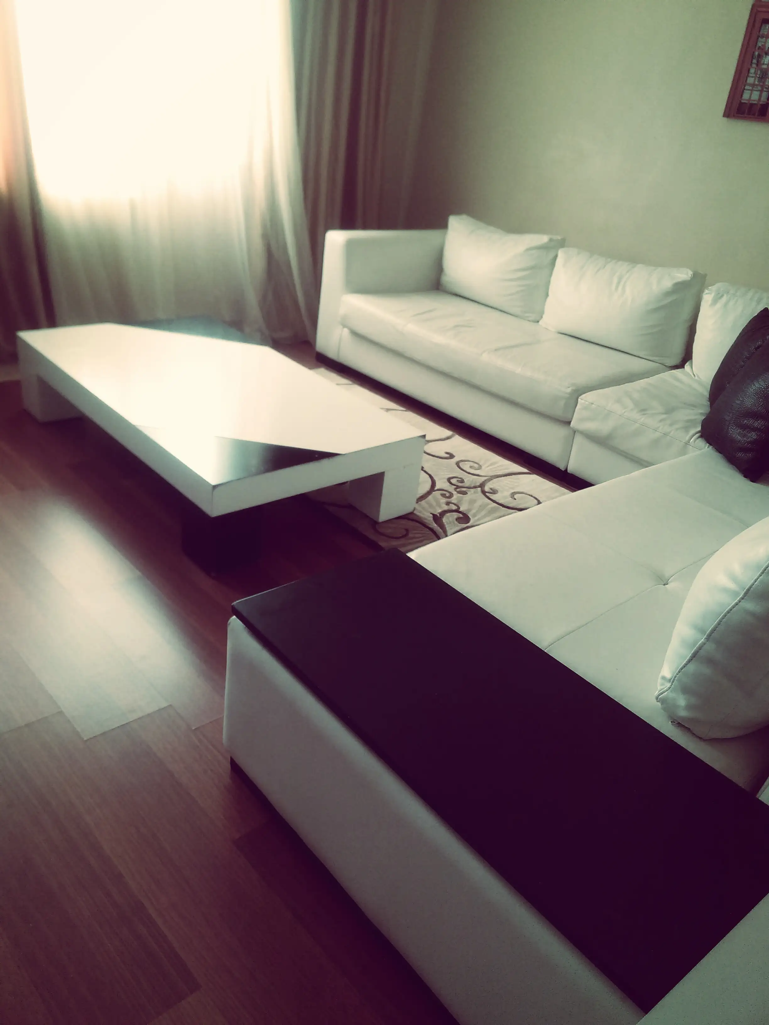 Fotor_141328737826551.webp
