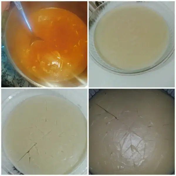 Fotor_151759125892793.webp