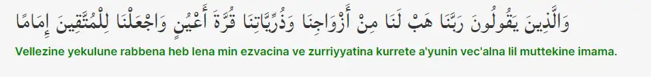 Furkan Suresi 74. Ayet.png