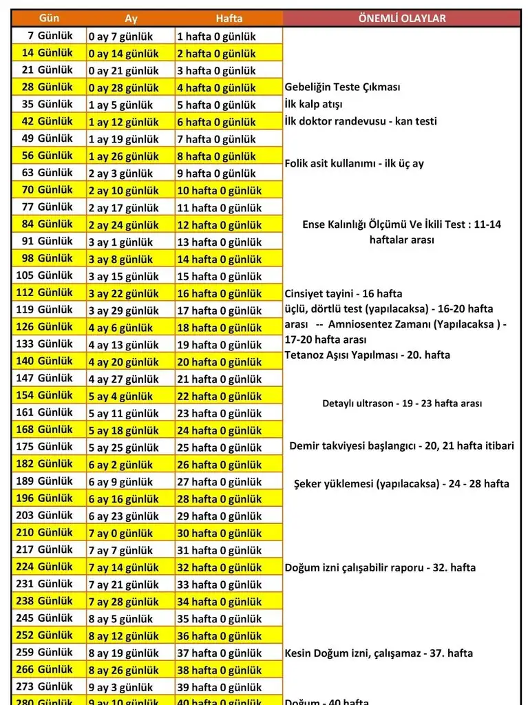 gebelik-cetvel-hesap-onemli-olaylari.webp