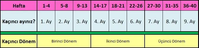 gebelik-haftasi-hesaplama.webp