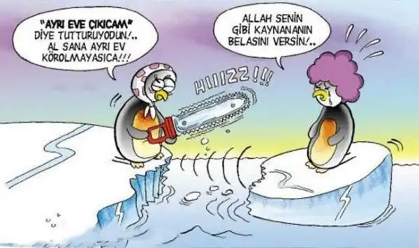 gelin_karikatürleri_gelin_kaynana_-_bakimliyiz.com.webp